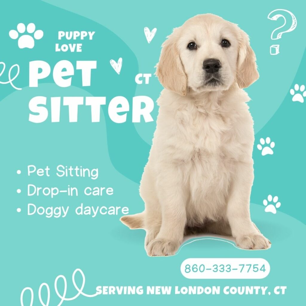 Puppy Love Pet Sitter CT - puppylovepetsitterct.com